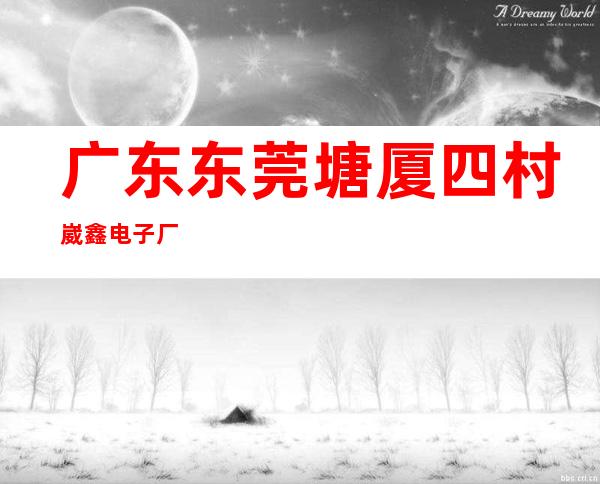 广东东莞塘厦四村崴鑫电子厂